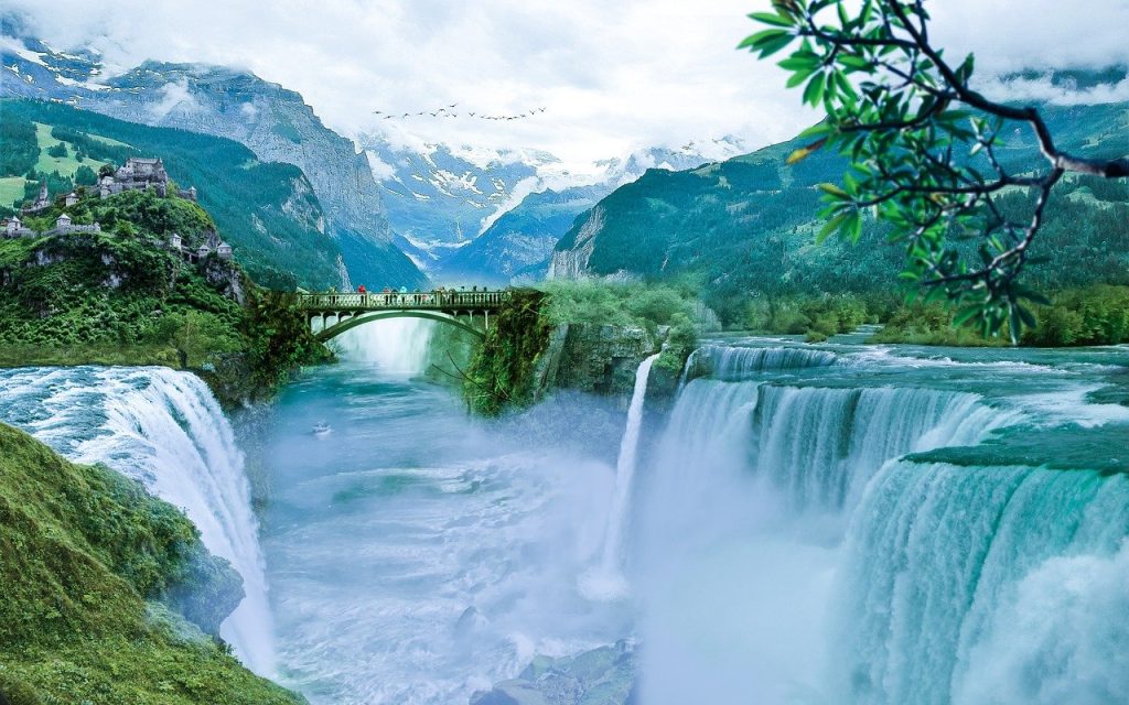 landscape, nature, forest-4785159.jpg